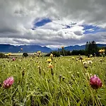 Διαμέρισμα Schellenwies In Murnau *